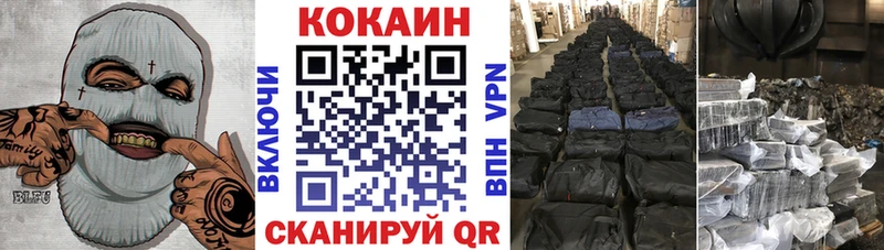 где купить Кашин Cocaine 99%