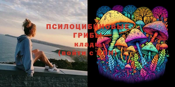 трава Слюдянка