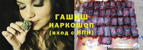 a pvp Алзамай