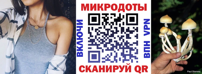 Галлюциногенные грибы ЛСД  Кашин 